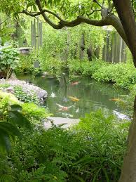 Build A Backyard Fish Pond Without