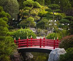 Red Bridge In Japanese Garden Stock