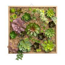 Faux Succulent Wall Decor 14in Five