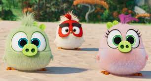 EXCLUSIVE CLIP: Go Behind the Scenes with the Hatchlings of 'The Angry Birds  Movie 2'
