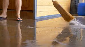 flooded basement images browse 1 287