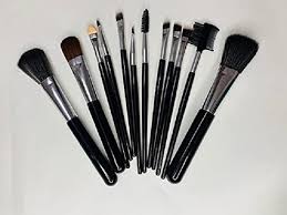 mac makeup brush 12