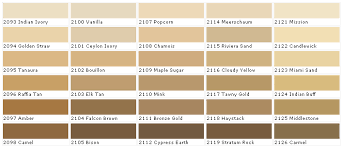 Camel Color Swatch