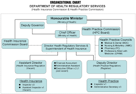 7 Organizational Chart Of Portugal U S Ministry Of Health