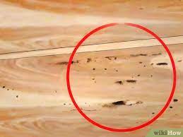 how to spot termite damage 13 steps