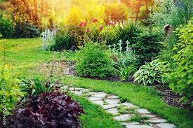Landscaping Ideas For Your Front Yard
