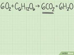 Calculate Percent Yield In Chemistry