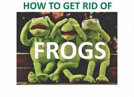 How To Get Rid Of Frogs In Your Garden