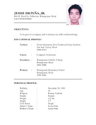        Charming Job Application Template Word Document Resume     