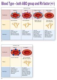Blood Components Hemoglobin Type Rh Factor Agglutination