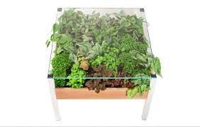 Living Table Is A Verdant Indoor Garden