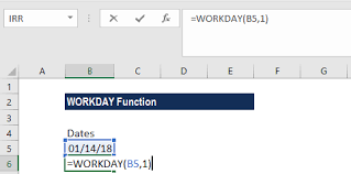 workday function formula exles