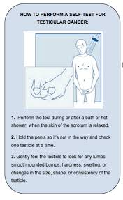 signs and symptoms of testicular cancer
