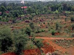 gurugram forest plan on 1 000 acres 3
