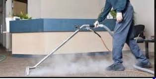 steam carpet cleaning services in