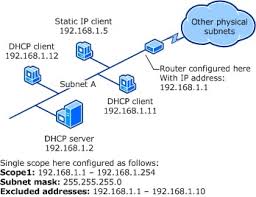 Dynamic Host Configuration Protocol Dhcp Network