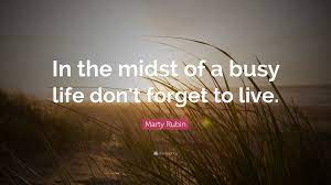 Marty Rubin Quote: “In the midst of a ...