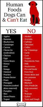 Save Your Dogs Diet With This Chart And Get Him Out For