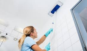 Cleaning Walls Ceilings
