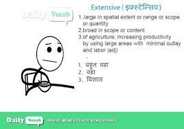 extensive meaning in hindi with