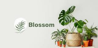 Just take a picture of the plant this app identification answers all the questions like plantnet. Blossom Plant Identification App Apps On Google Play