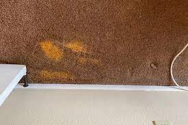 stain removal atlanta carpet dyeing
