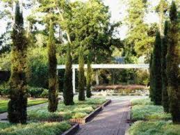mercer arboretum and botanical gardens