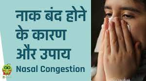 nasal congestion in hindi