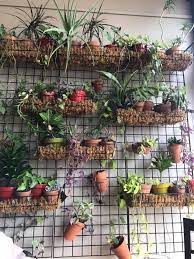 How To Create A Plant Wall