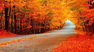 100 hd autumn wallpapers wallpapers com