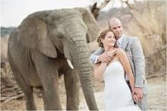 Romantic Places To Propose In South Africa I Intergate ...