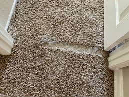 pet damage carpet repair oc carpet repair