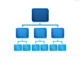Image result for organisation chart