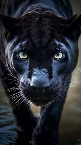 premium ai image black jaguar is a