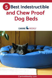 Best indoor/outdoor beds for chewers. Pin On Furbaby Stuff