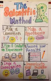Scientific Method Anchor Chat First Grade Science Second