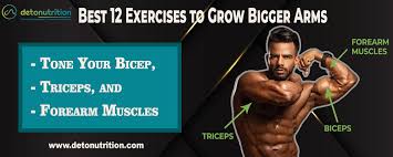 grow bigger arms tone your biceps