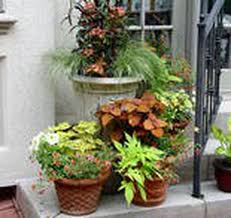 How To Take Your Potted Plants To A New