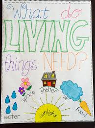 What Do Living Things Need Anchor Chart Anchor Charts