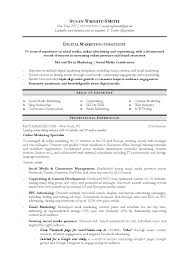 Technology Cover Letter Example Resume Resource