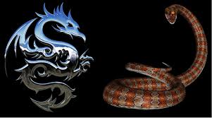 Oh, dragon, what a creature. Chinese Horoscope Snake Compatibility With A Dragon