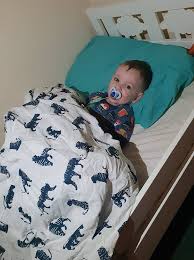 switch from cot to toddler bed