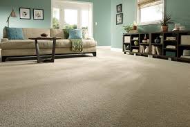 carpet cleaning peoria il 309 678 0087