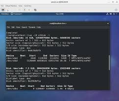 reset a windows pword with linux