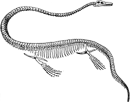 Résultat de recherche d'images pour "elasmosaurus dinosaure"