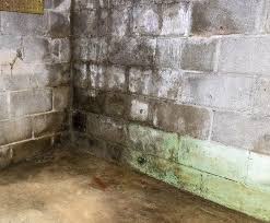 Basement Waterproofing Problem Signs