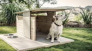 Cool Dog Houses With Modern Designs