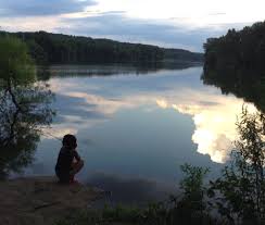 #30 best value of 301 camping in pennsylvania. Gifford Pinchot Lake Camping Ground Pa Camping Destinations Camping Locations Lake Camping