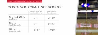 regulation volleyball net heights a