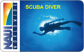 naui open water scuba diver course